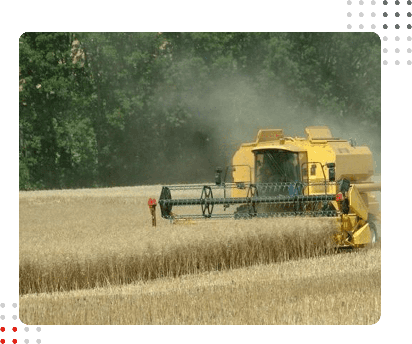 A yellow combine harvester is working in a field.